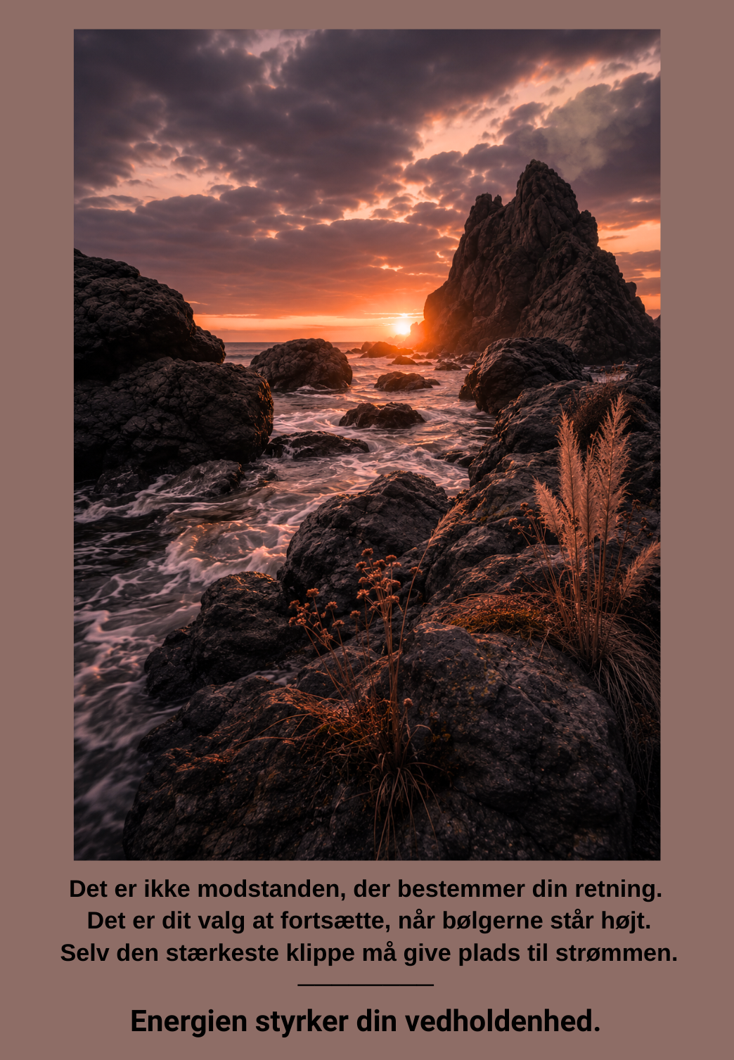 Naturens visdom, kort 4